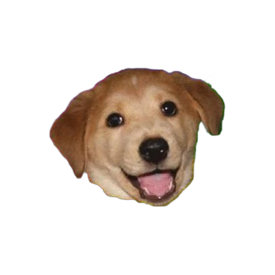 Advice Dog