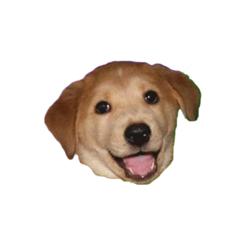 Advice Dog